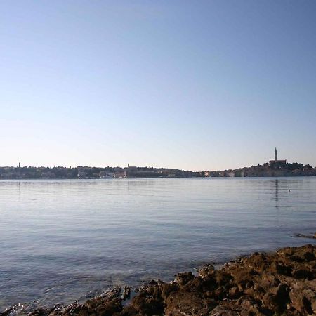 Apartment In Rovinj/Istrien 11533 外观 照片