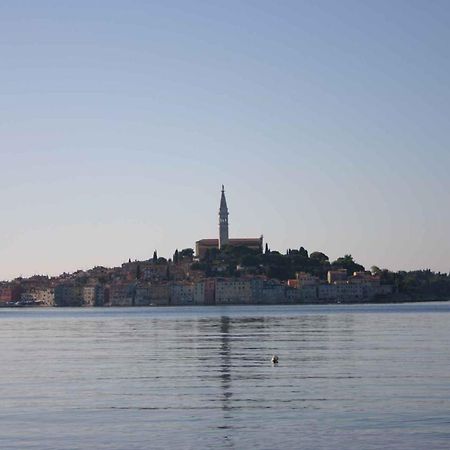 Apartment In Rovinj/Istrien 11533 外观 照片