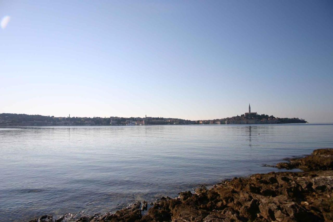 Apartment In Rovinj/Istrien 11533 外观 照片